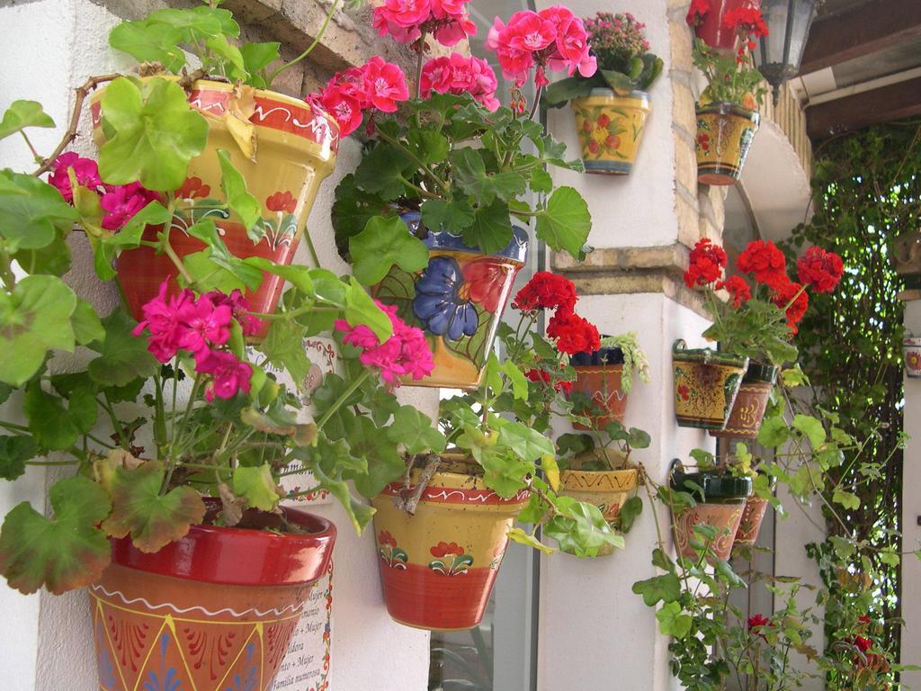 Hotel Cortijo Los Gallos チクラナ・デ・ラ・フロンテーラ エクステリア 写真