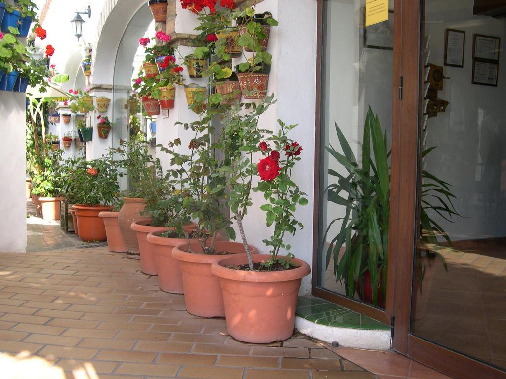 Hotel Cortijo Los Gallos チクラナ・デ・ラ・フロンテーラ エクステリア 写真