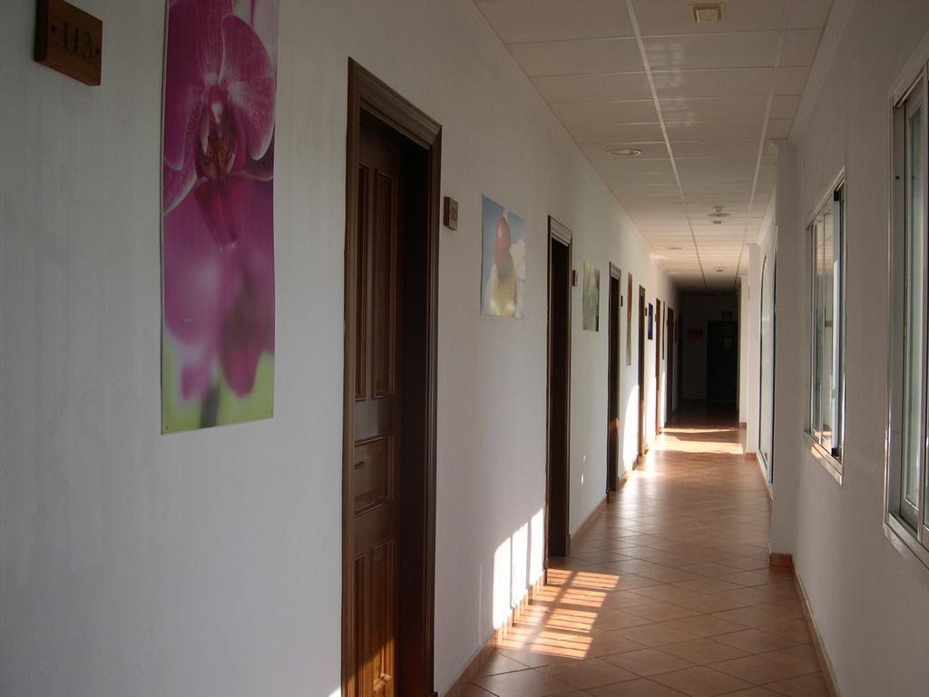 Hotel Cortijo Los Gallos チクラナ・デ・ラ・フロンテーラ エクステリア 写真
